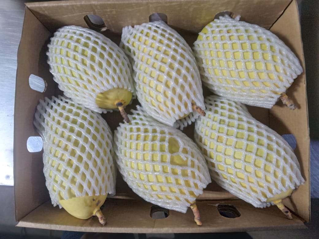Quality Mangoes